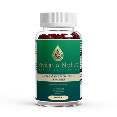 Lion’s Mane & B6 Focus Gummies Blaubeere – 60 Stück