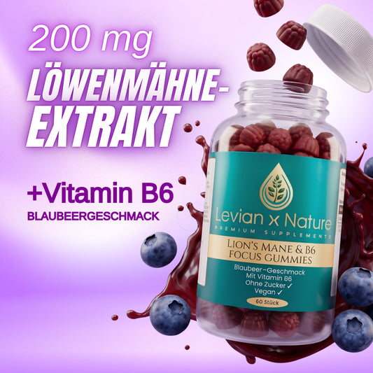 Lion’s Mane & B6 Focus Gummies Blaubeere – 60 Stück