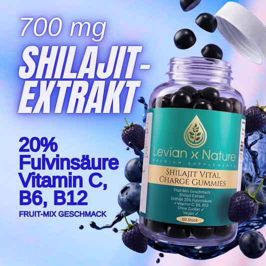 Shilajit Vital Charge Gummies Fruit-Mix – 60 Stück